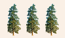 trees