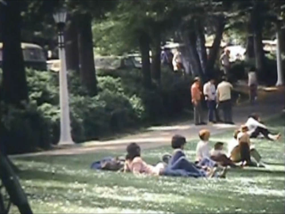 peace demonstration portland