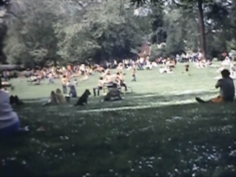 peace demonstration portland