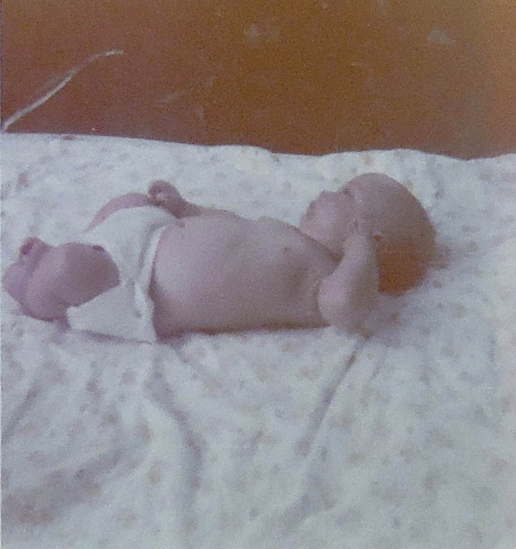 noah picnic portland