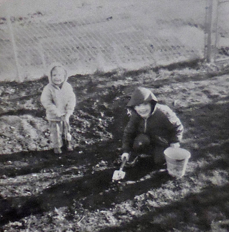 sarah noah spokane yard