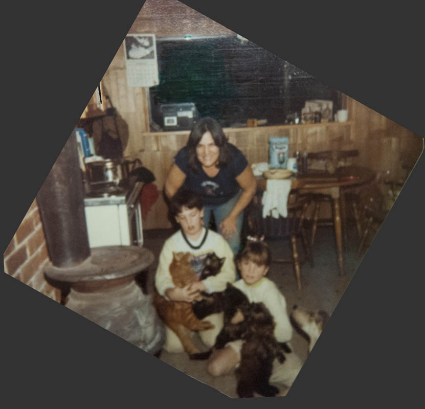 abbie sarah noah and pets