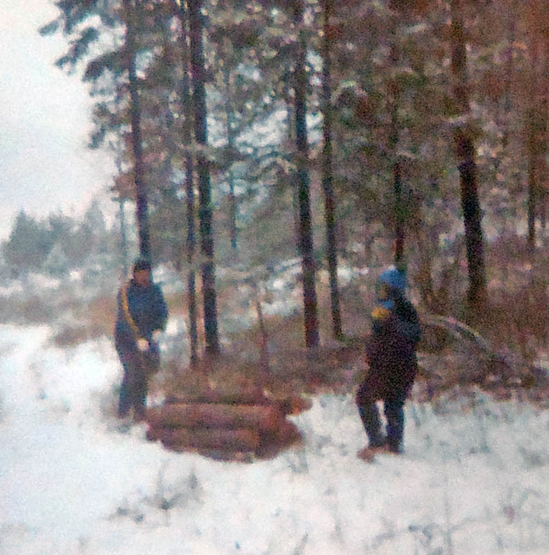 firewood marble valley