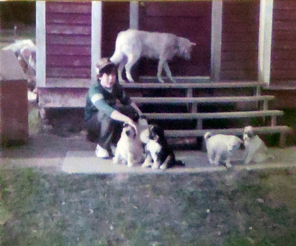 noah snowball and puppies