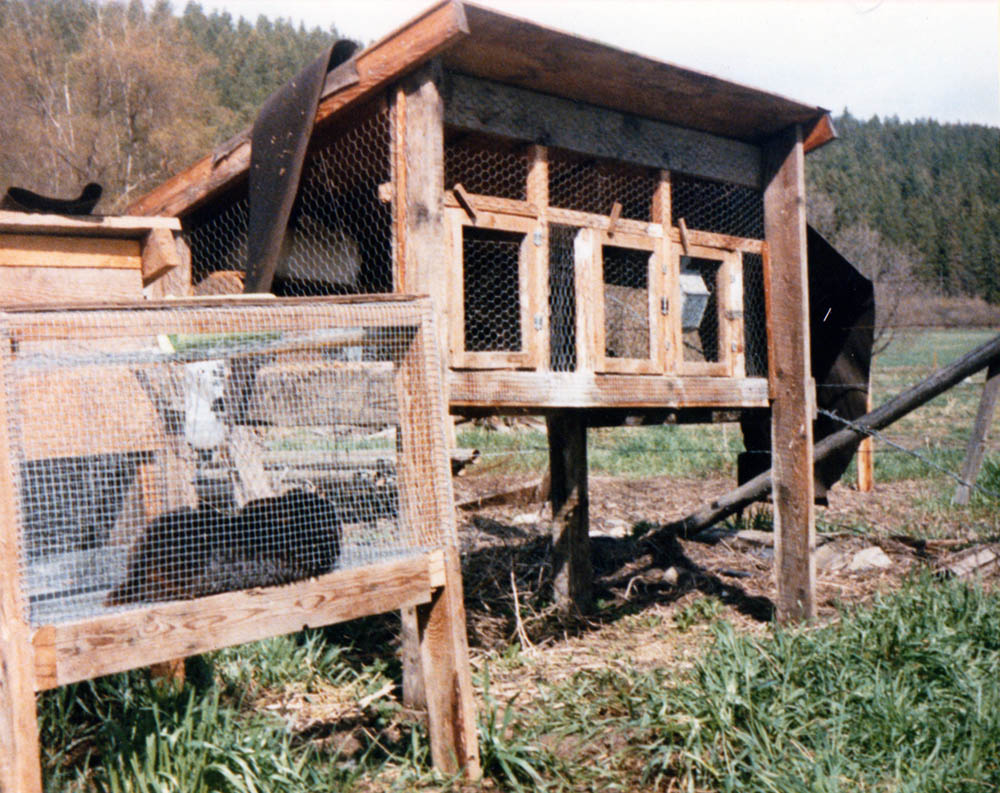 rabbit hutch