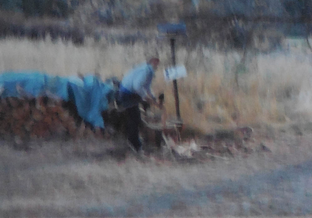 getting firewood dennis