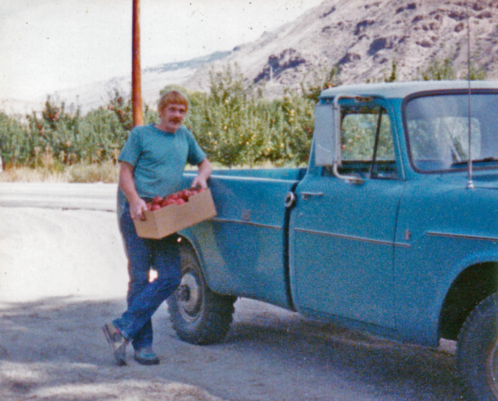 wenatchee apples 1991