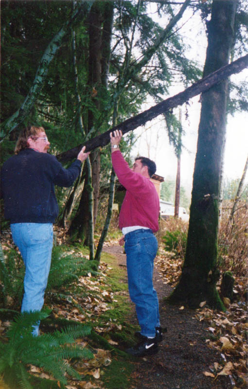 dennis noah at lornas