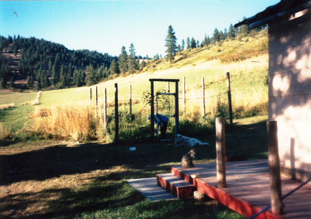 lorna and snowball at addy