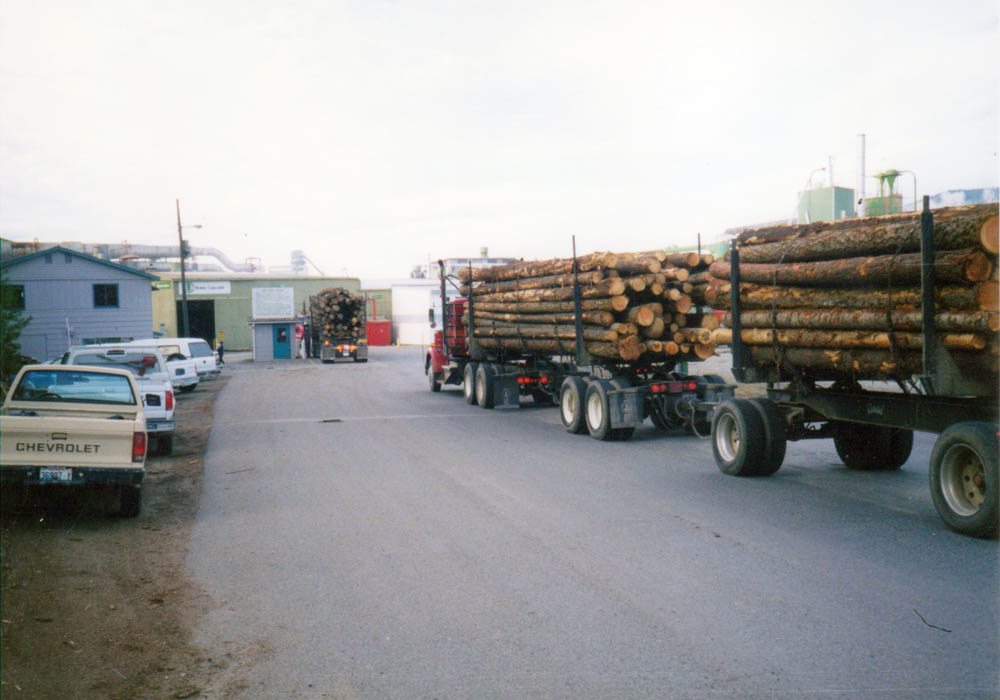 at boise plywood mill