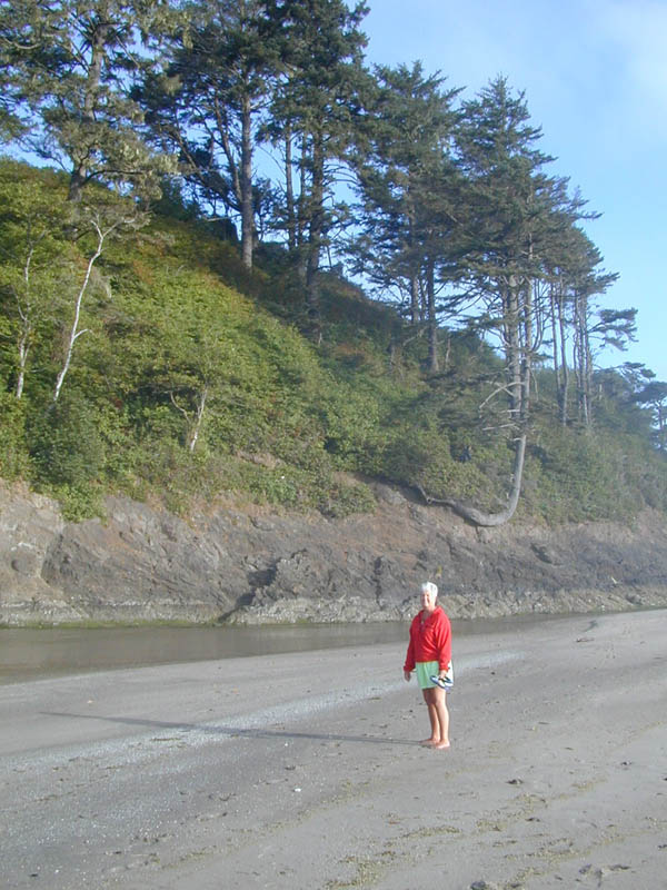 dennis in neskowin