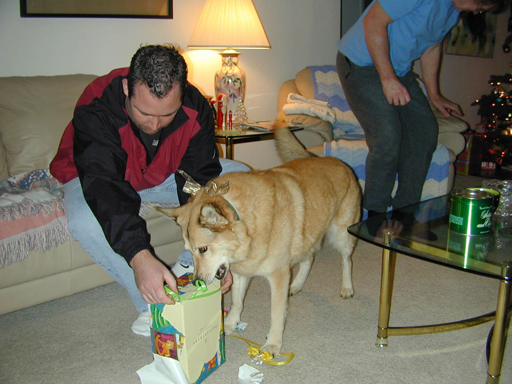 jess kiley xmas in kirkand