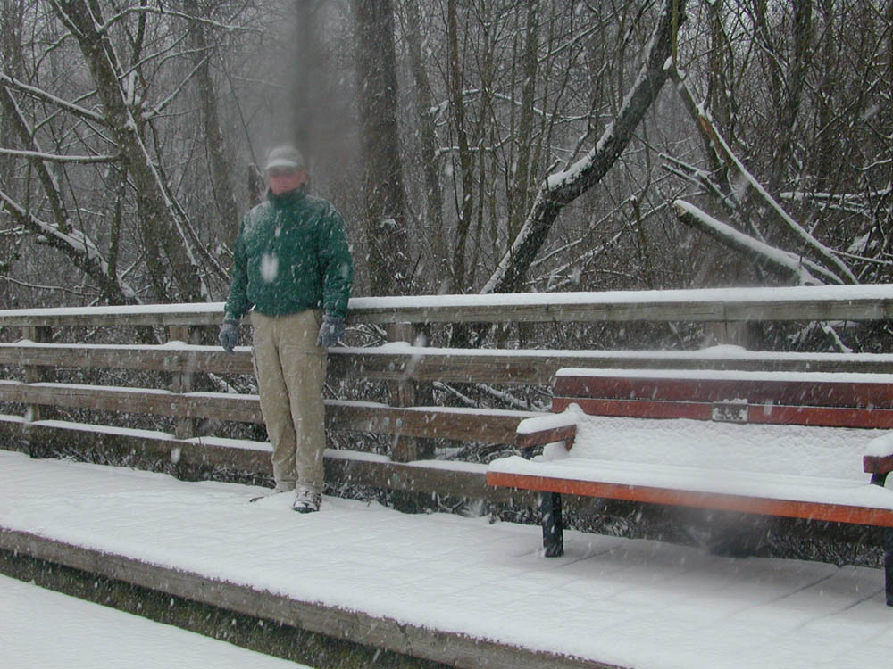 dennis snow in kirkland