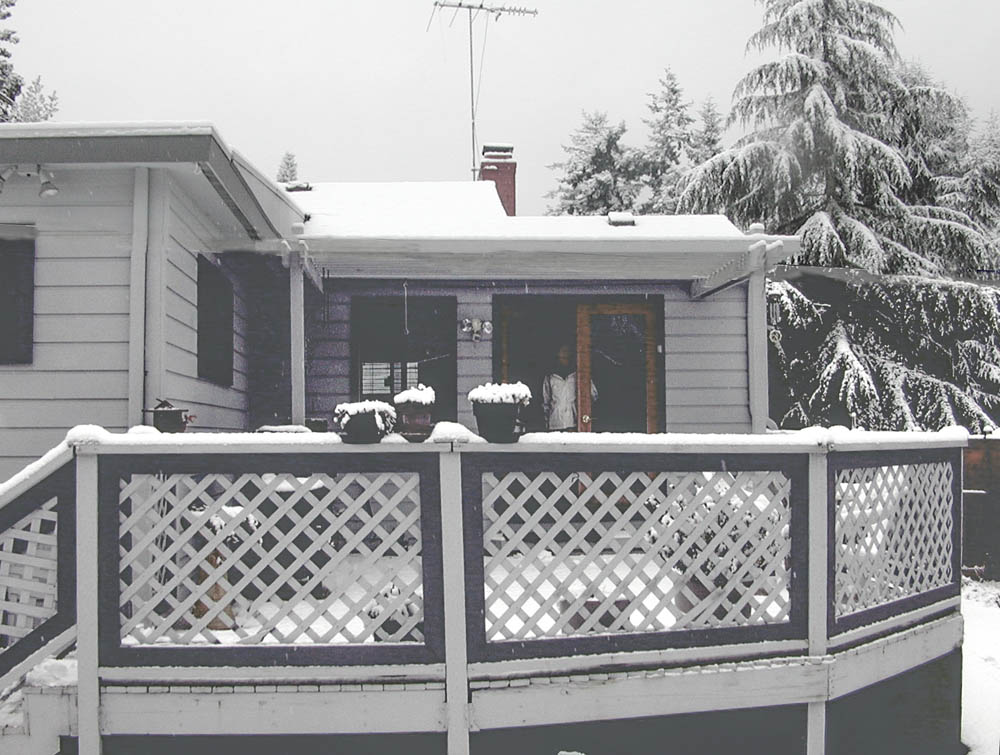 stef snow in kirkland