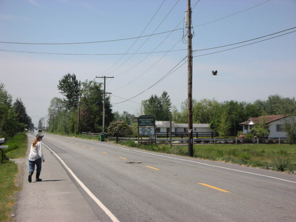 trish maclaren in enumclaw