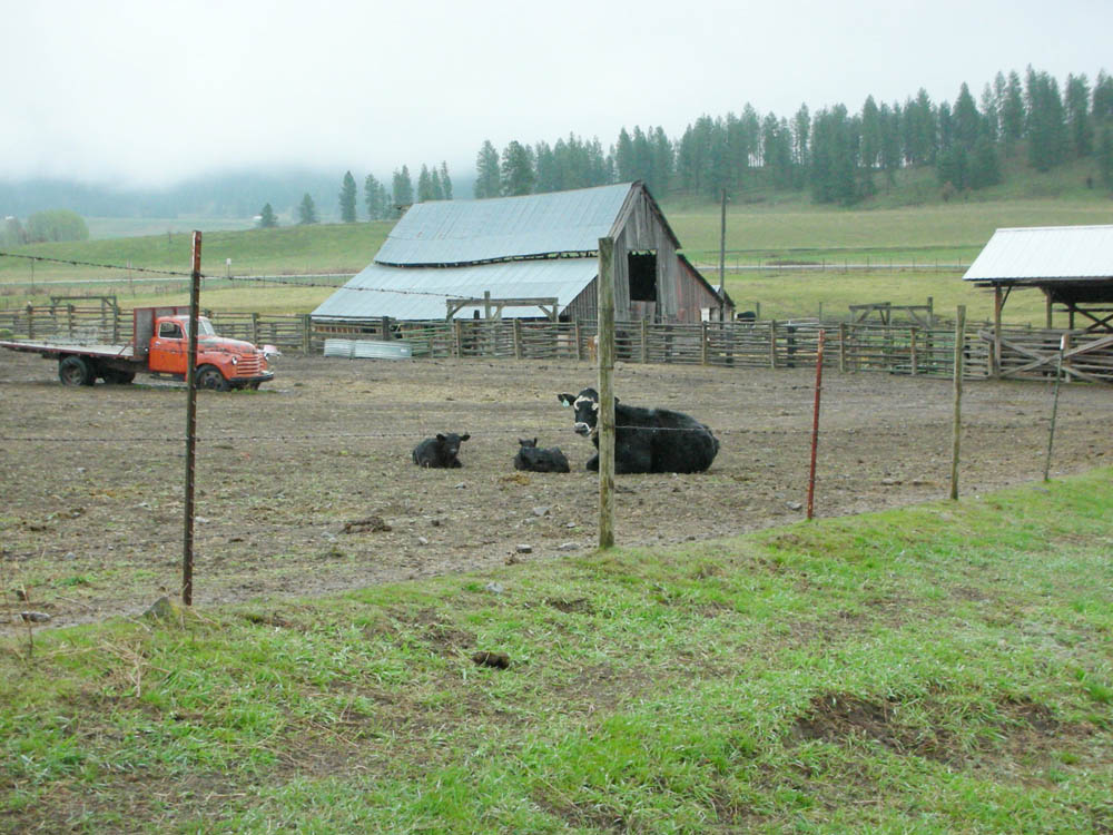 april_dougs farm in rice
