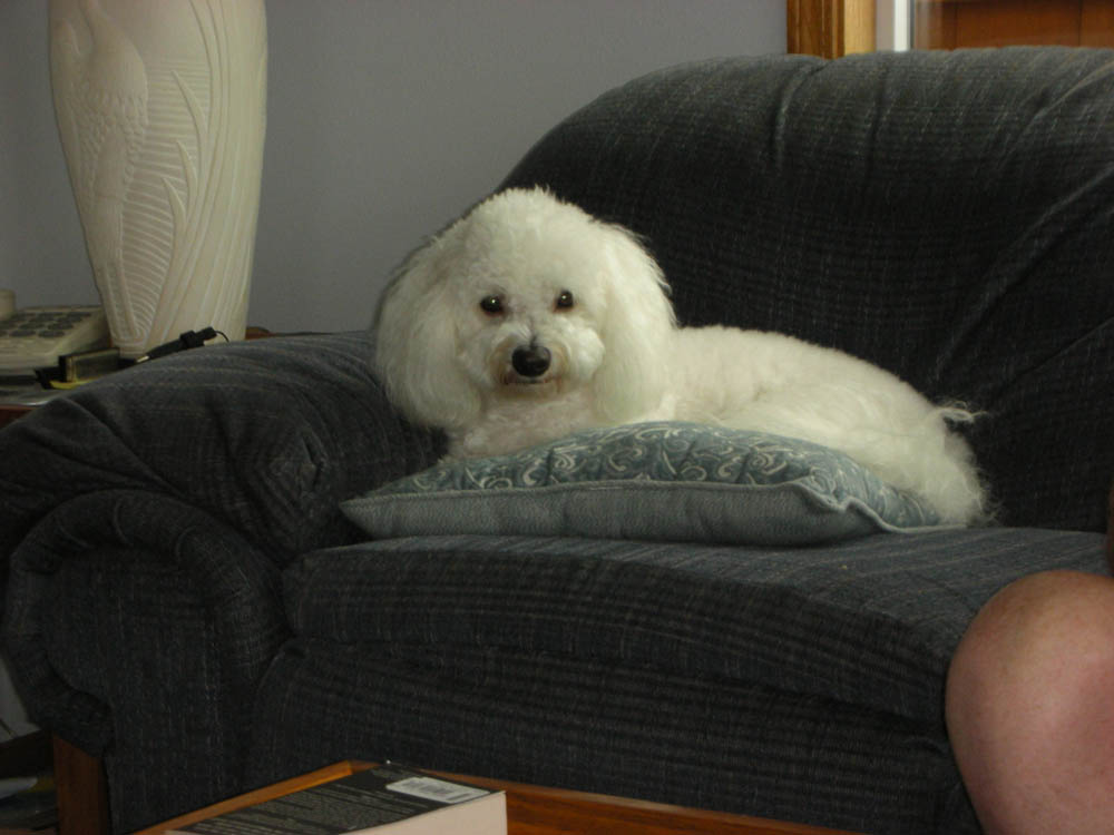 aug_alfie at neskowin