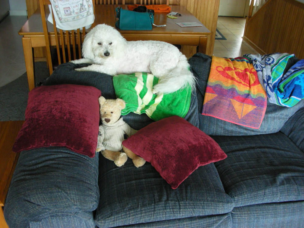 aug_alfie at neskowin
