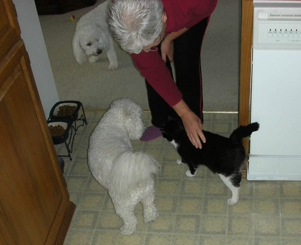 november_alfie fuzzy bitsy stef