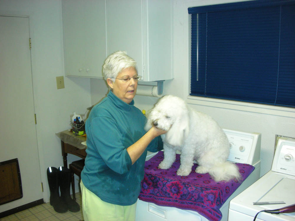 january_stef and alfie