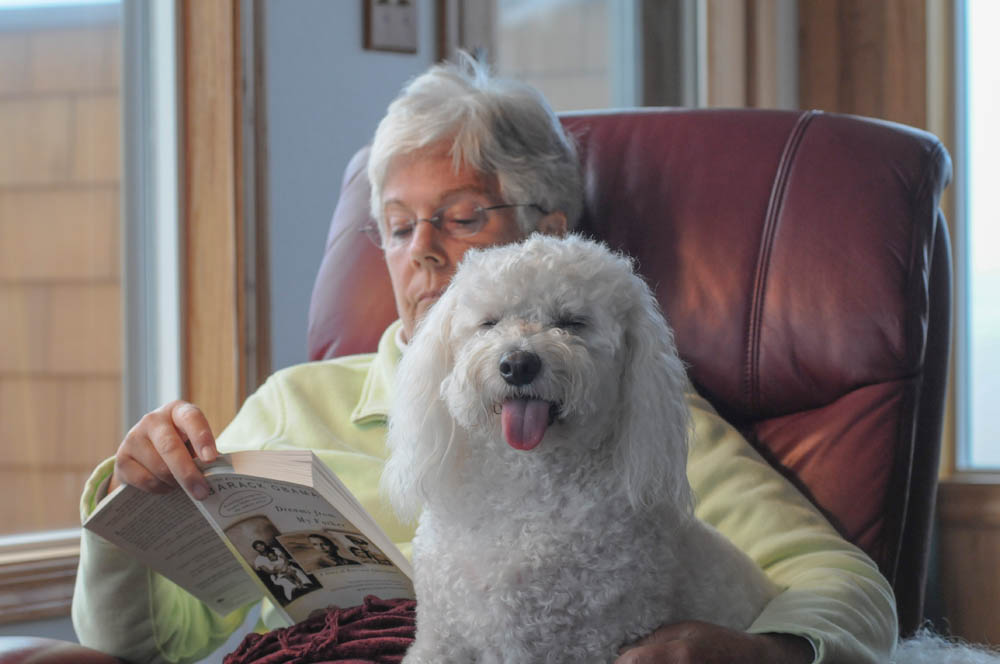 july_stef and alfie in neskowin