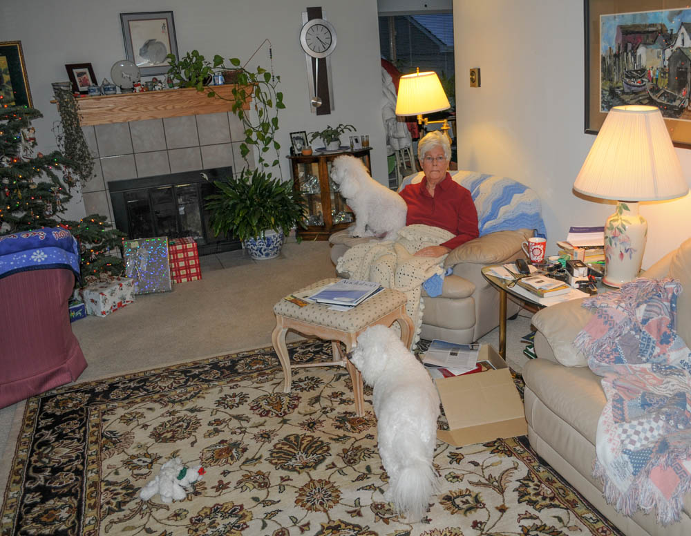 december_fuzzy stef and alfie