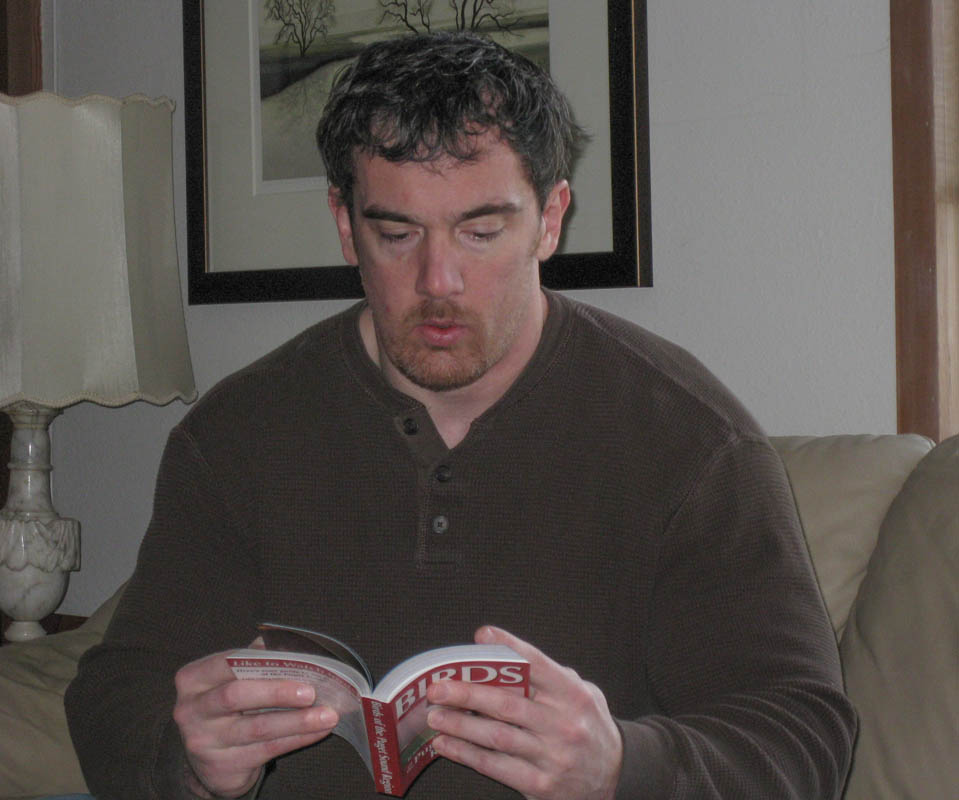 february_noah at stefs