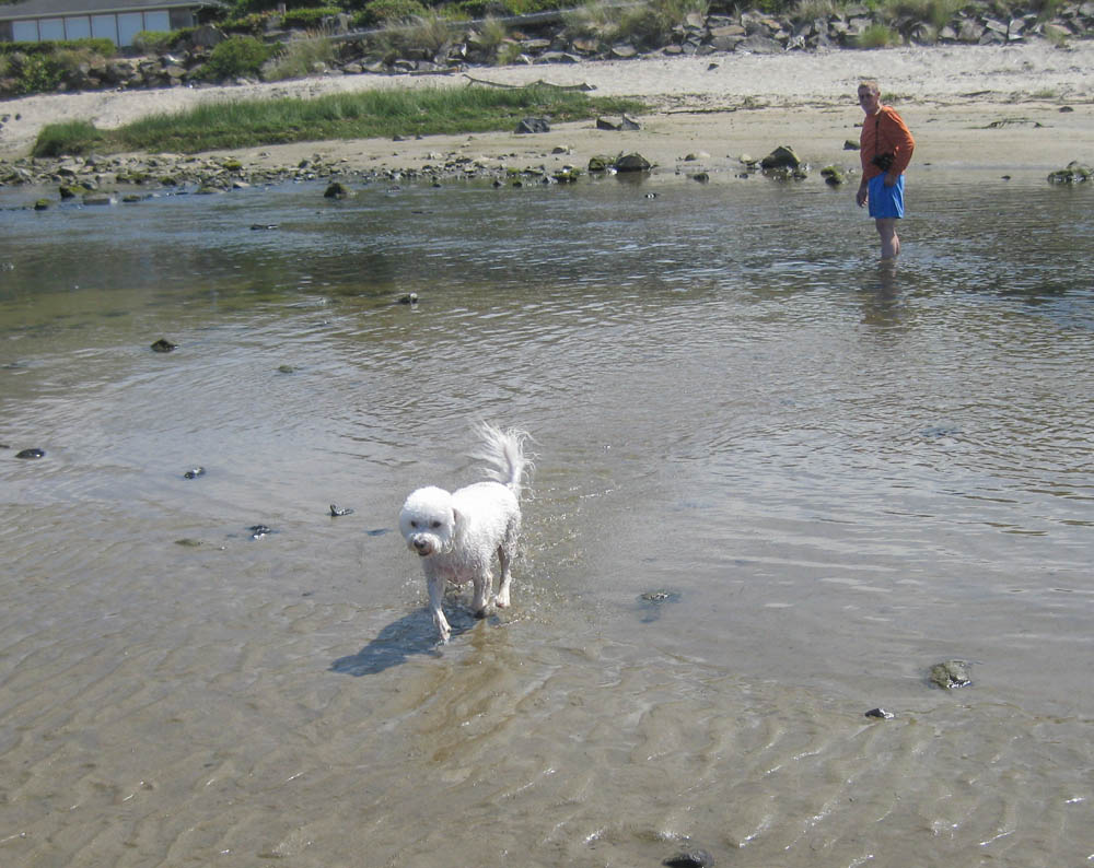 august_alfie and dennis in neskowin