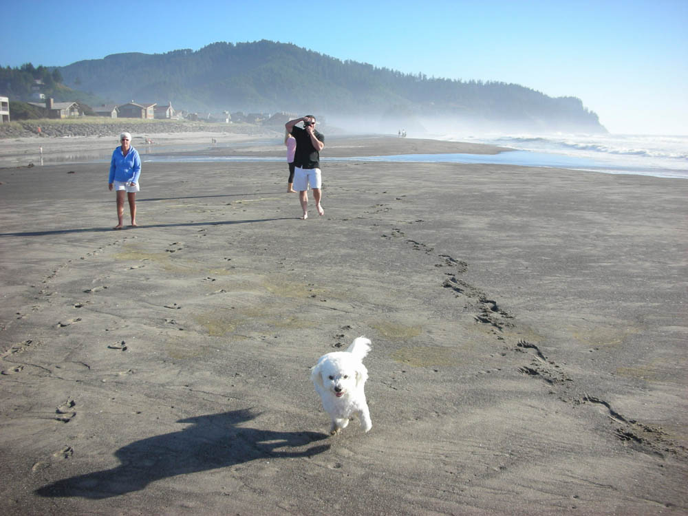 august_stef sandy noah and alfie in neskowin
