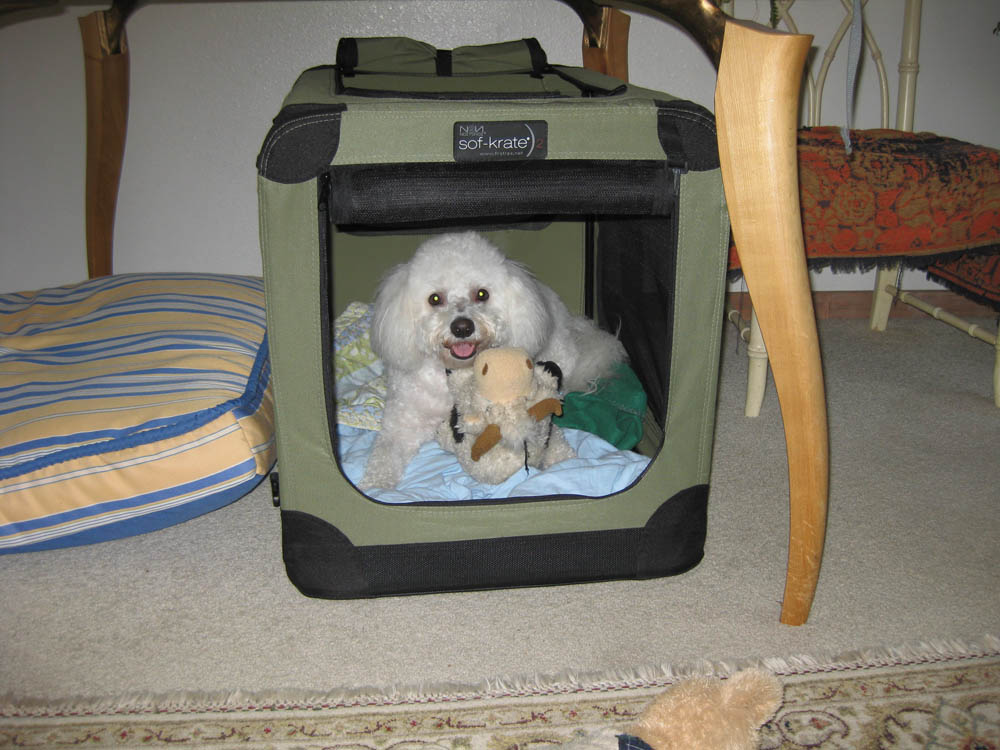 october_alfie at home