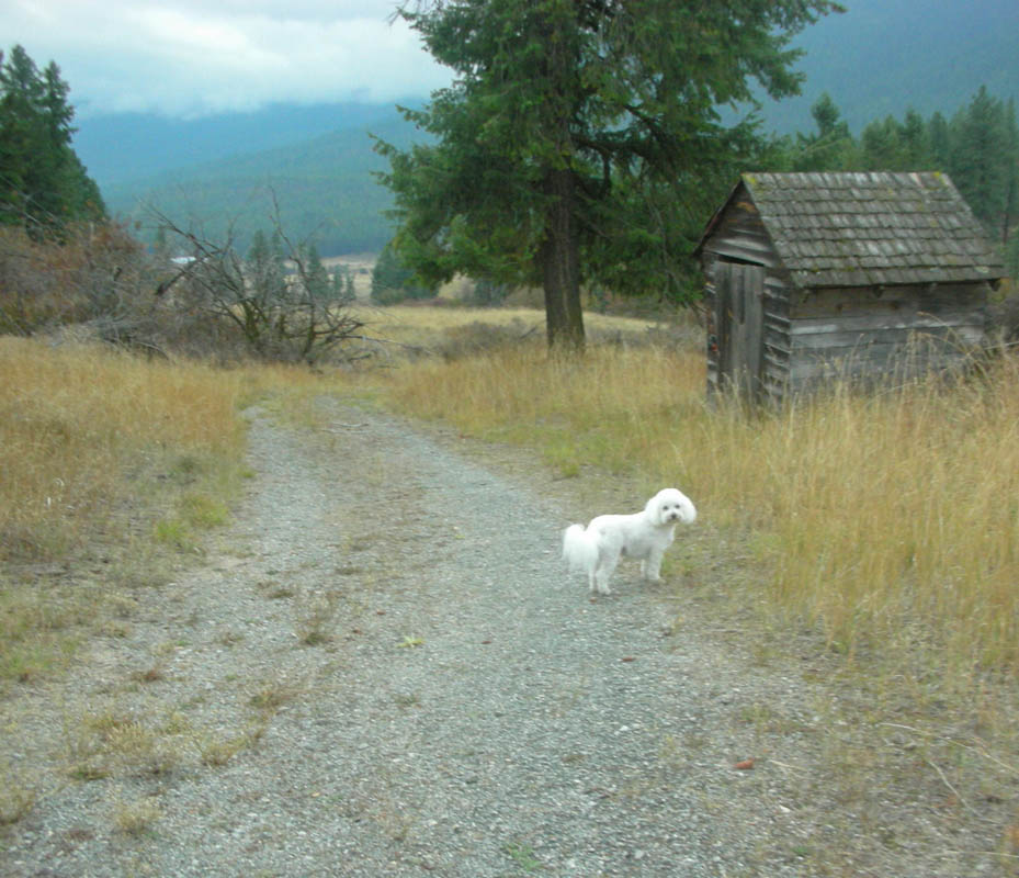 october_alfie at addy