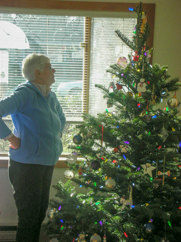 december_sttef and tree