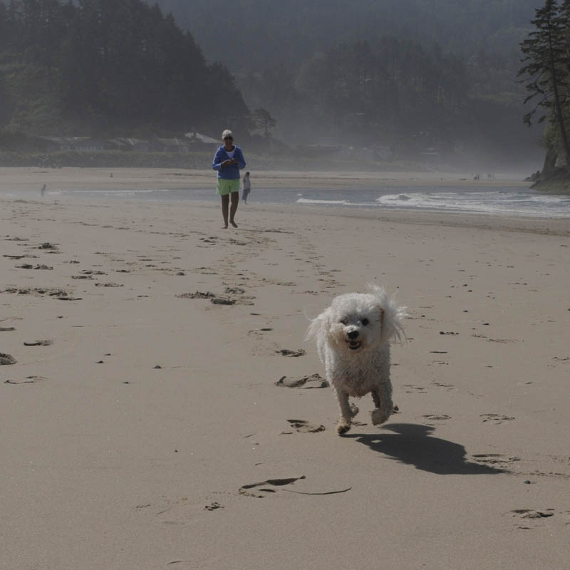 september neskowin_stef and alfie