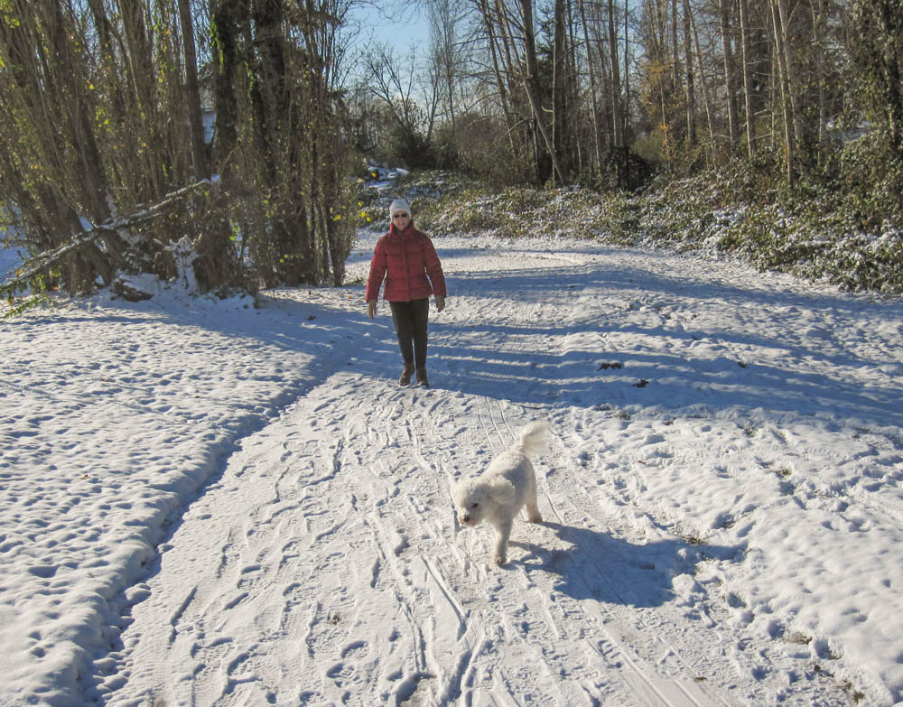 november_stef and alfie at juanita park