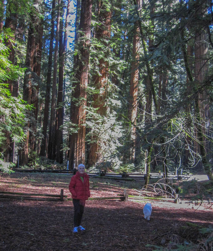 february_stef and alie at redwoods