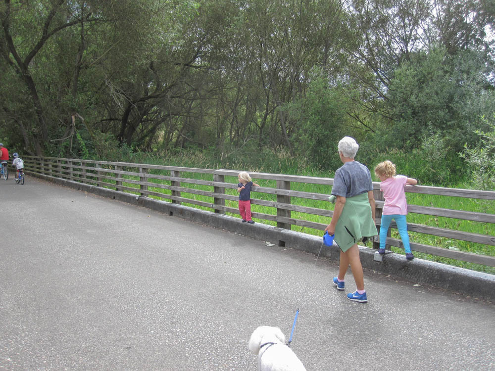 august_katie alfie stef and maddy at juanita bay