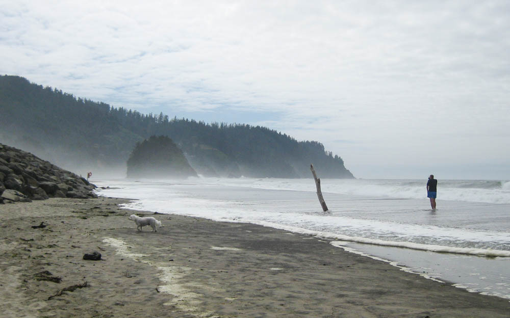 august_alfie and dennis neskowin