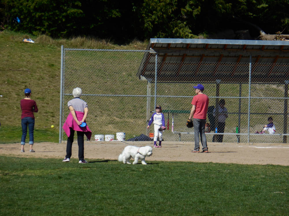 march_stef alfie maddy softball