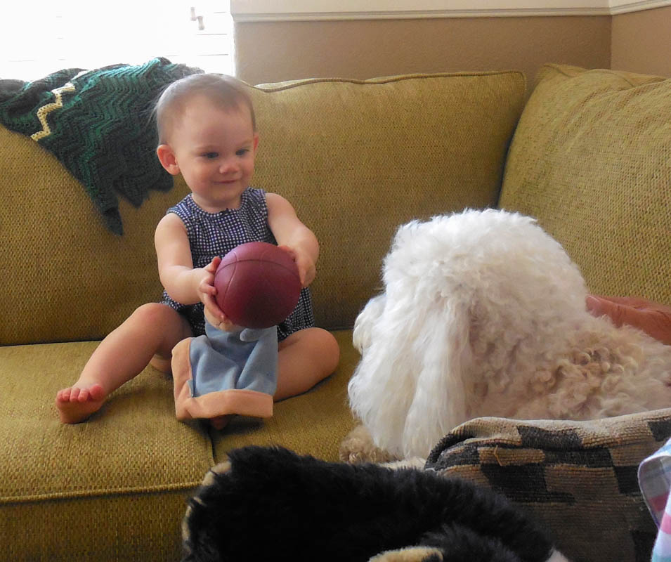 may_mandy and alfie_vegas trip