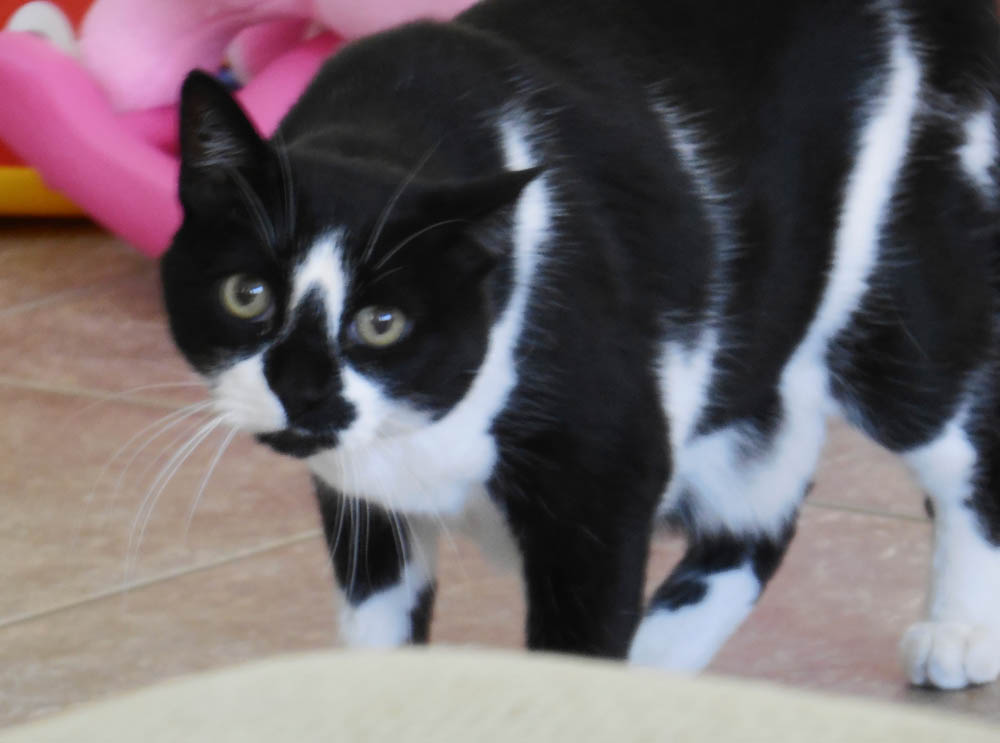 may_george_vegas trip