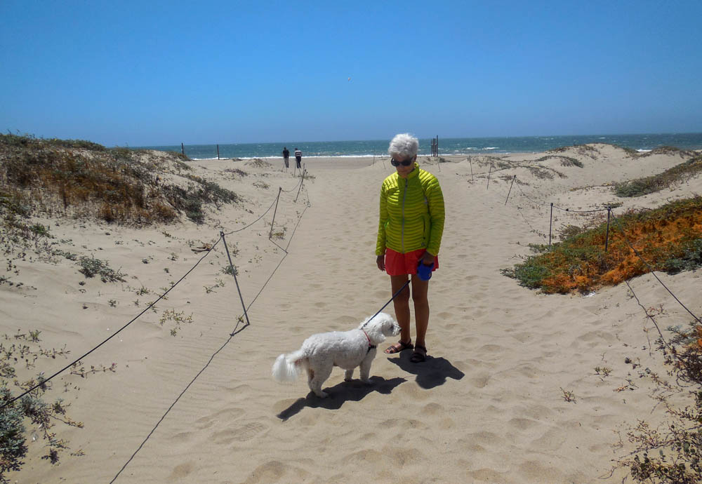 may_alfie and stef (ventura) beach