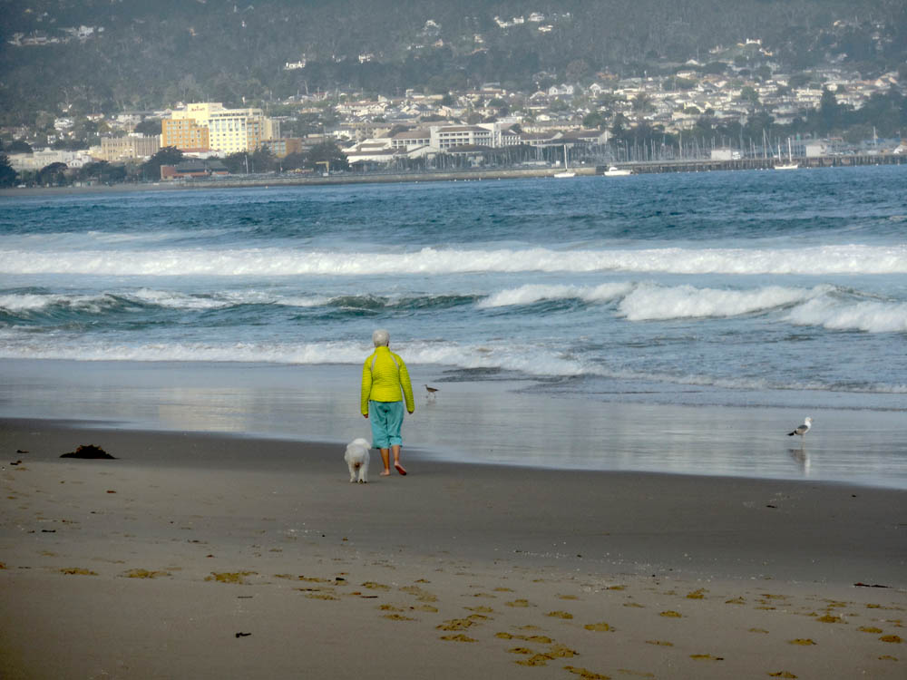may_stef and alfie in monterrey