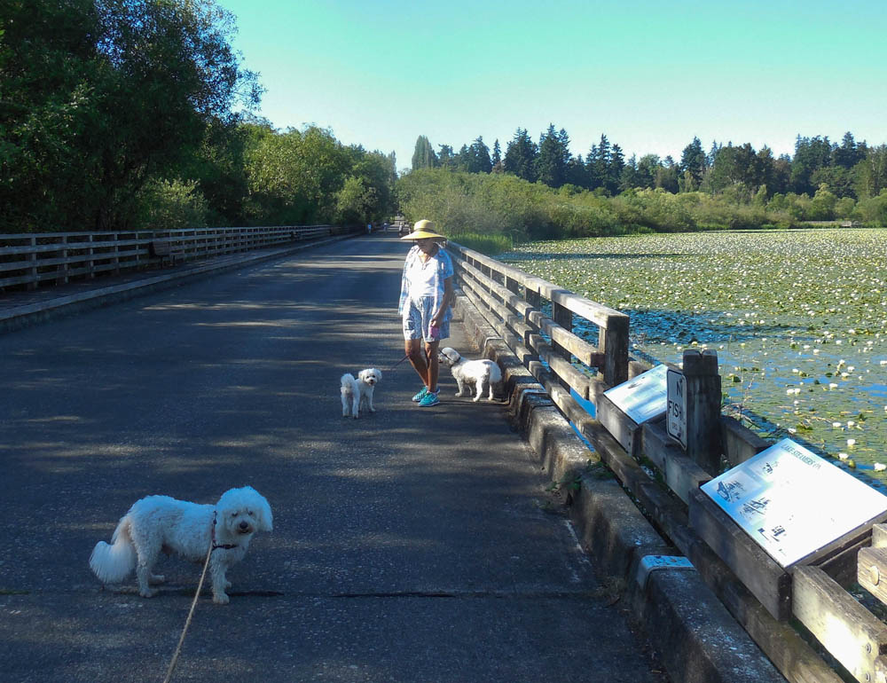 june_alfie rose stef and fuzzy at juanita bay