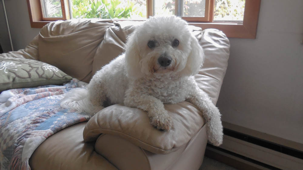 august_alfie at home