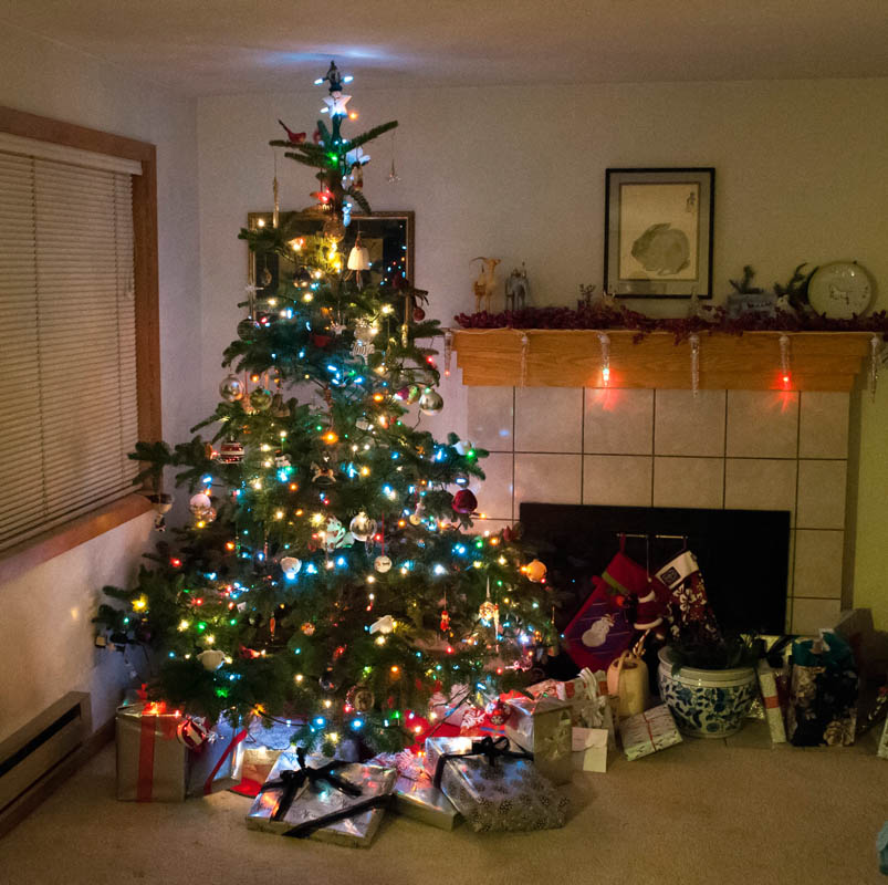 december_kirkland tree