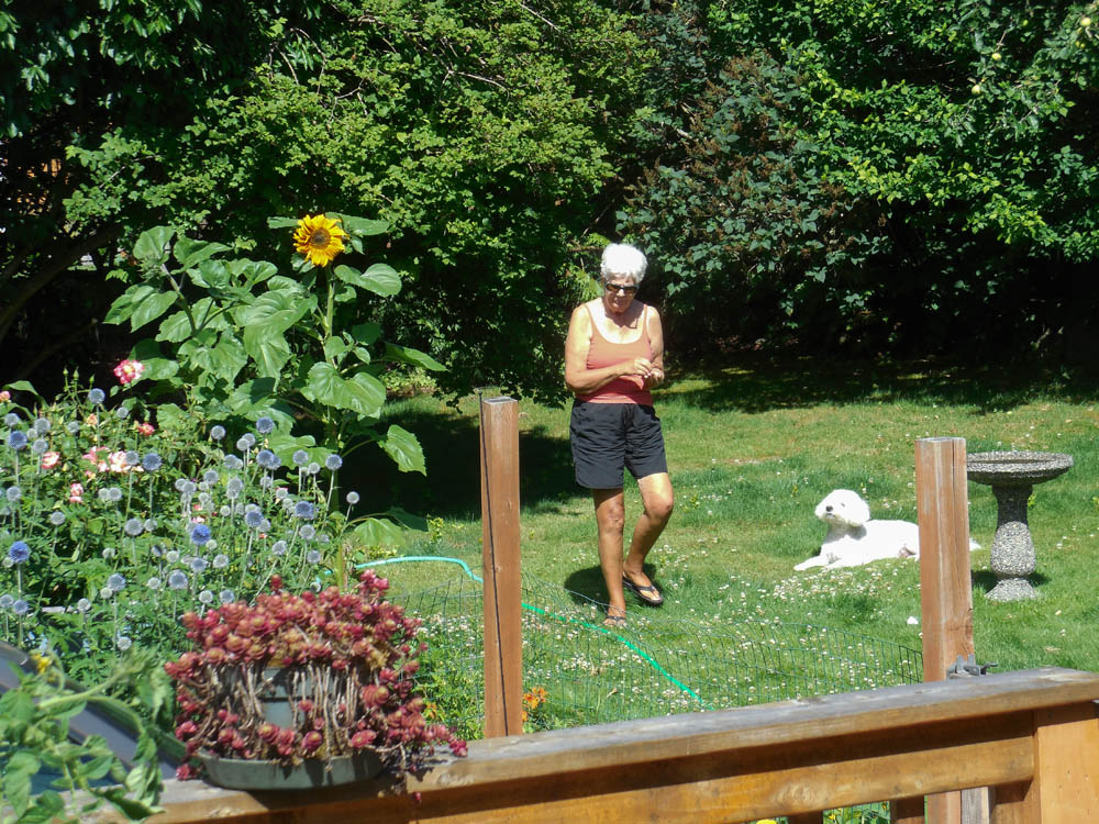 july_stef and alfie in back yard