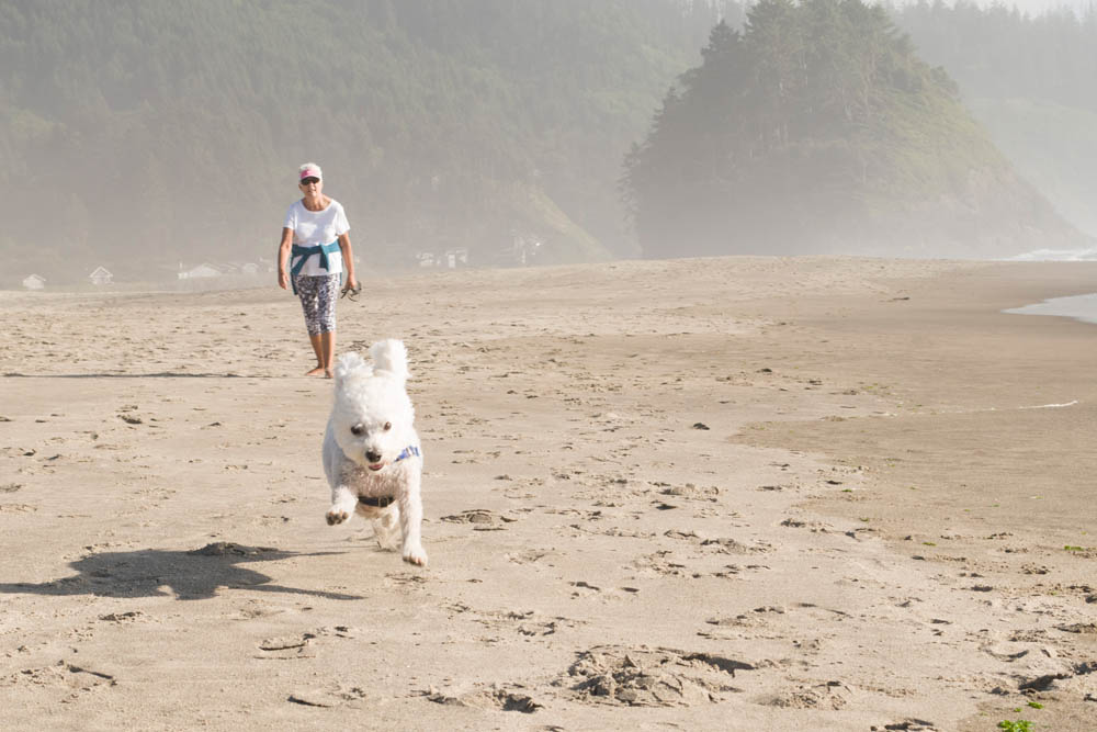 july_stef and alfie_neskowin