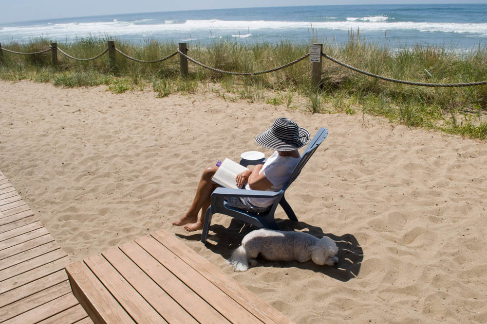 july_stef and alfie_neskowin