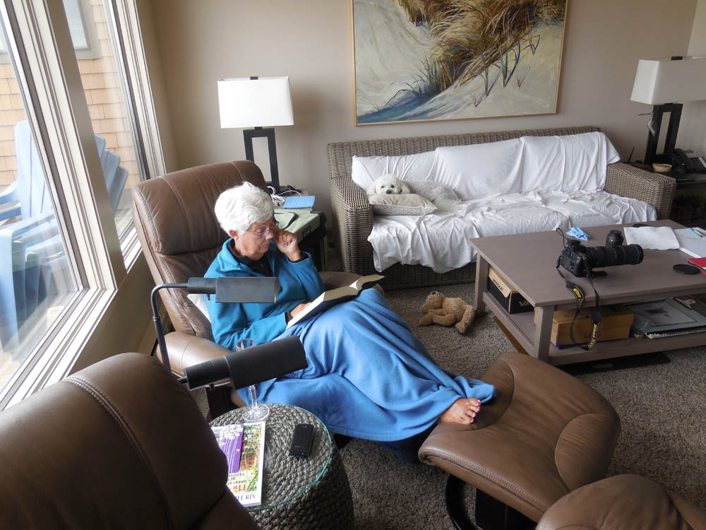 july_stef and alfie_neskowin