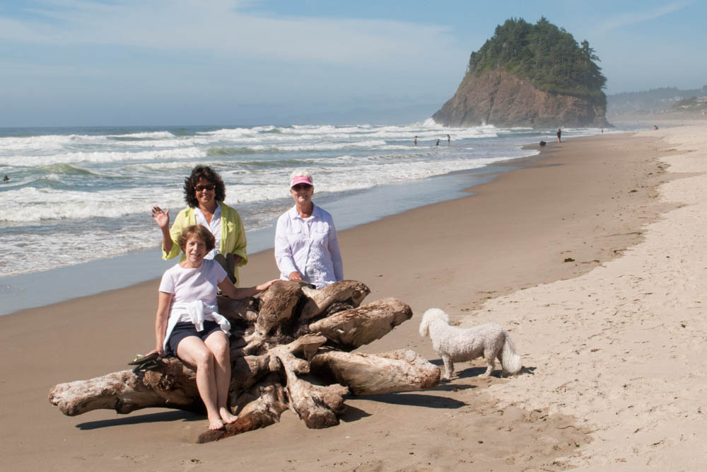 july_megg kris stef and alfie_neskowin